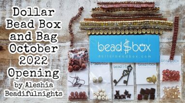 Dollar Bead Box and Bag October 2022 Opening