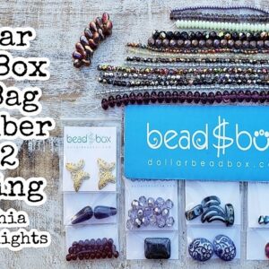 Dollar Bead Box and Bag November 2022 Opening