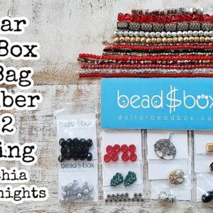 Dollar Bead Box and Bag December 2022 Opening