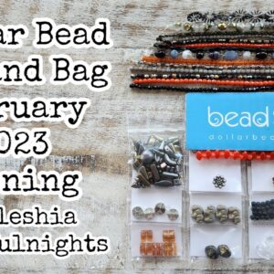 Dollar Bead Box and Bag February 2023 Opening