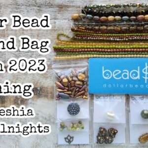 Dollar Bead Box and Bag March 2023 Opening